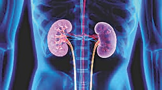 latest study says heparanase inhibitor drug could prevent diabetic eye and kidney disease