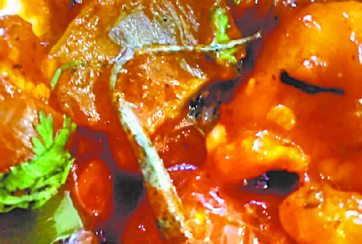 lizard tail found in food of hotel in lucknow