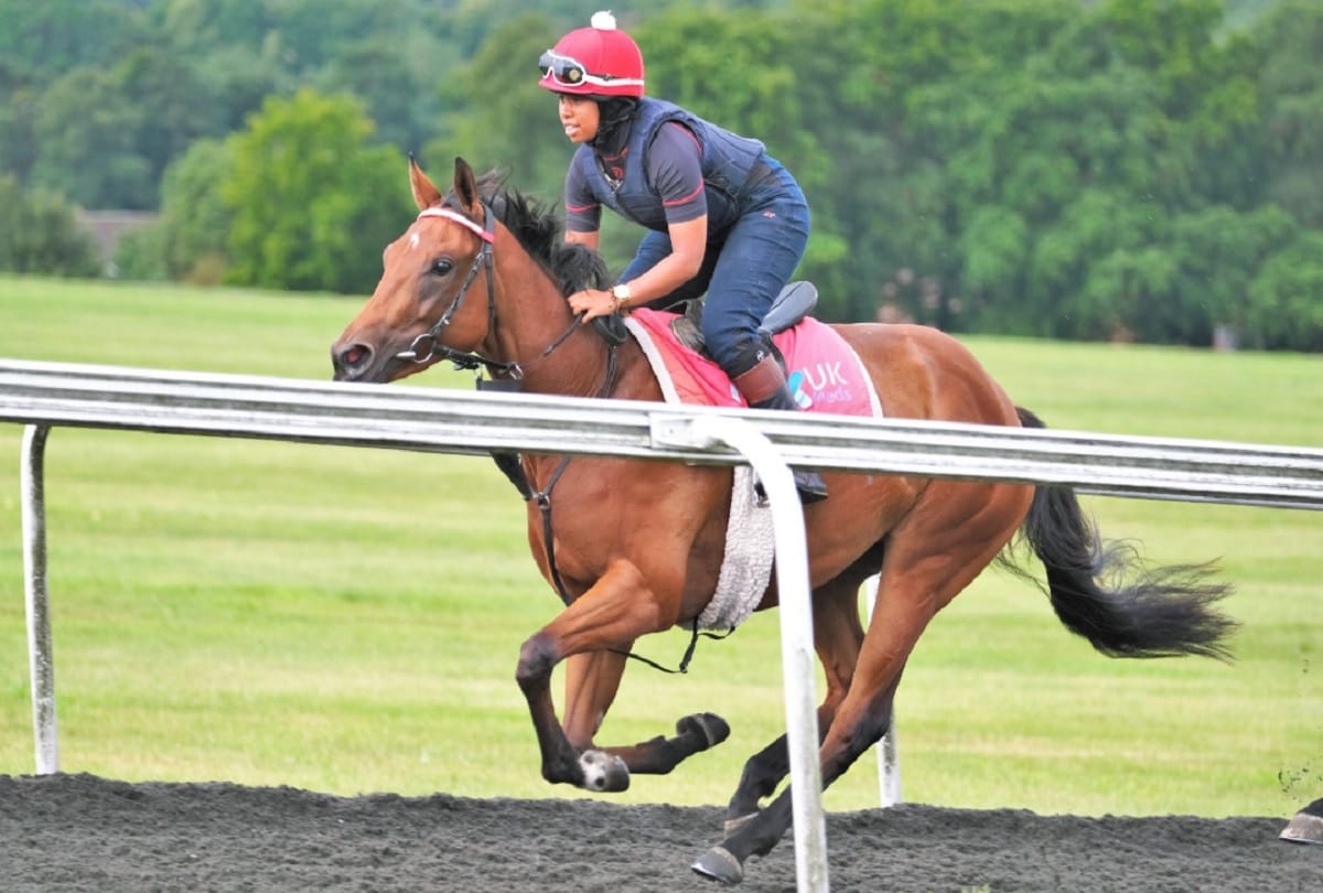 Magnolia Cup 2019 Only womens participate in the Unique Horse Race in Britain