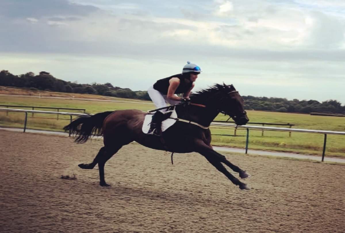 feng shui horses for life