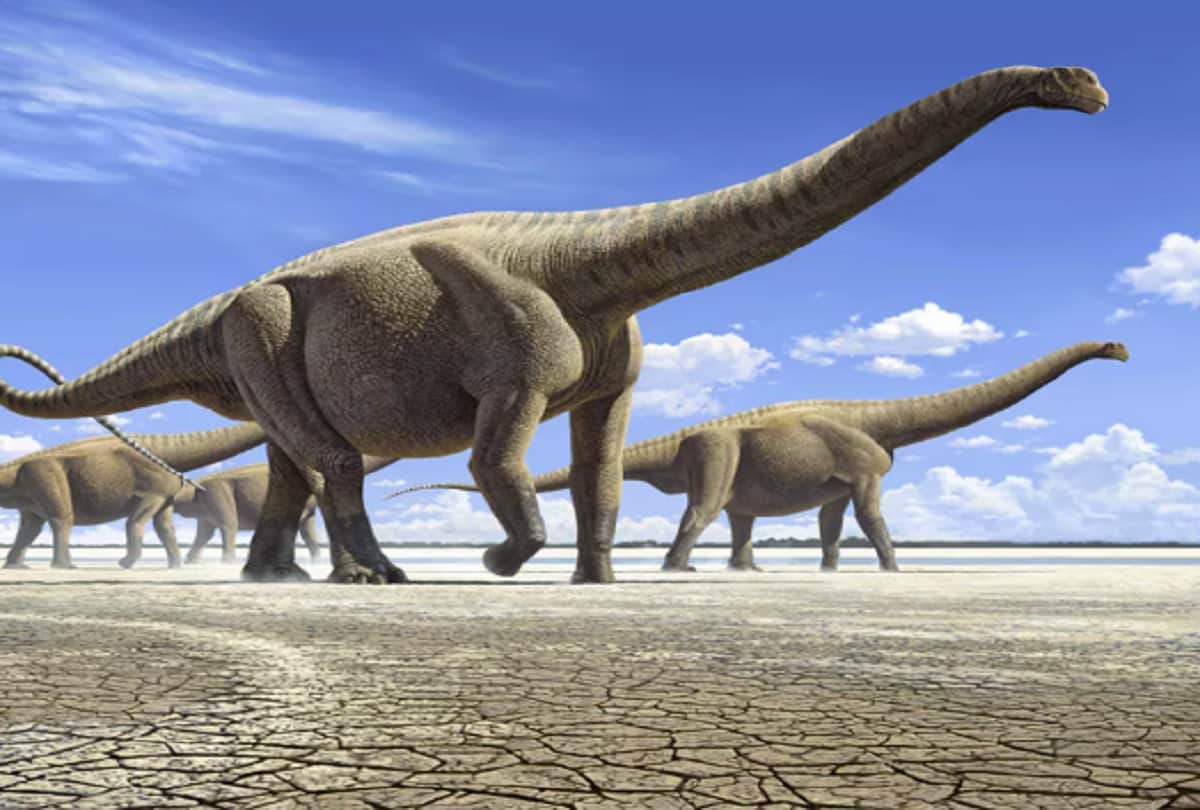 Interesting facts about dinosaurs were either humongous or tiny know causes