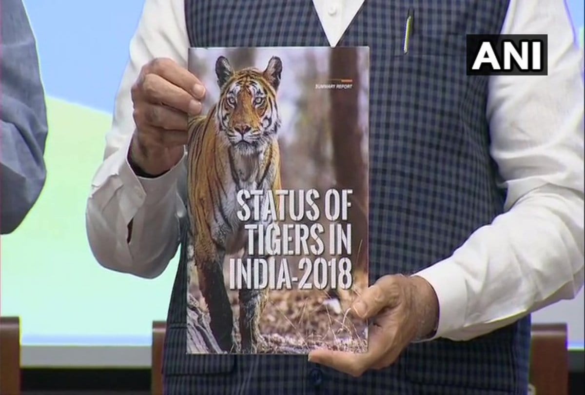 Madhyapradesh again becomes number one tiger state