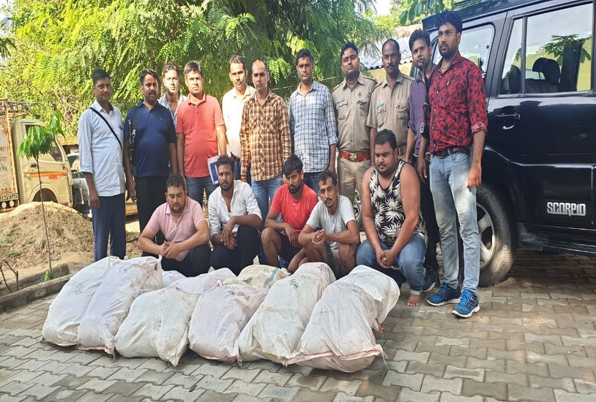 stf arrested ganja smugglers from saiyan supply by mobile phone