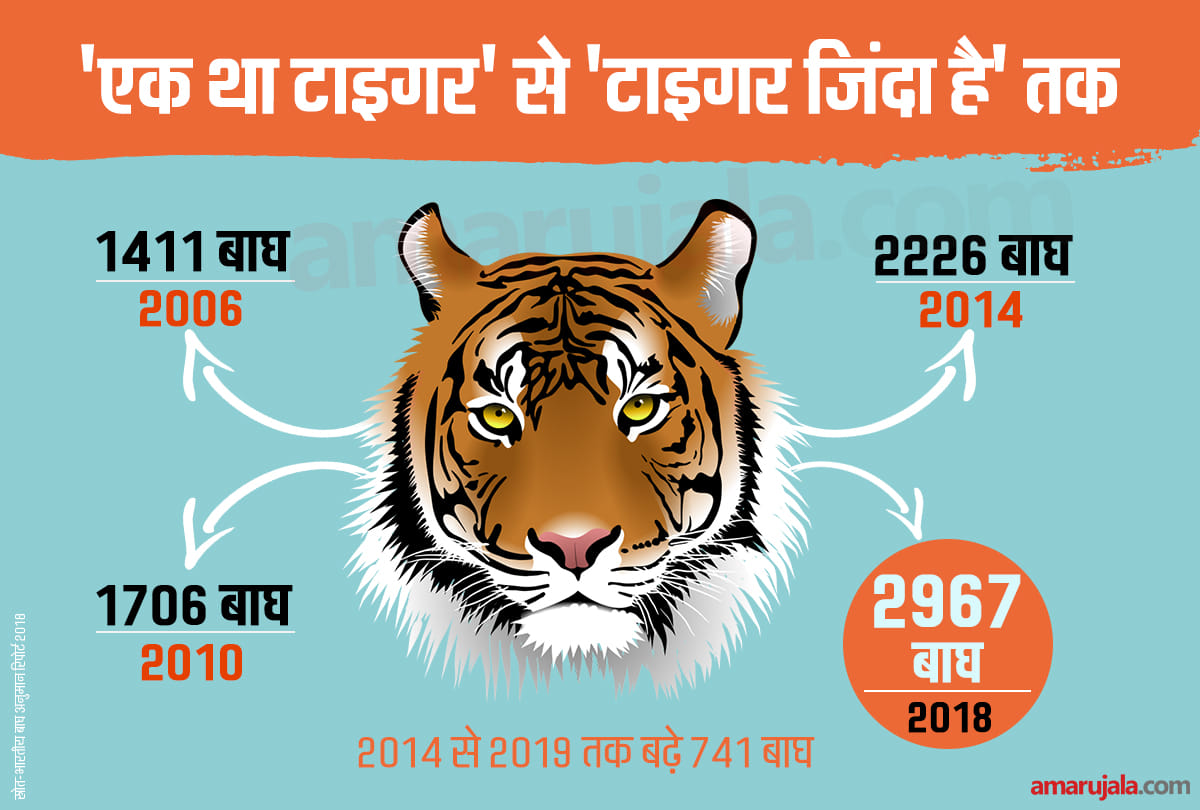 International Tiger Day: Indias Tigers population rises to five year high to reach 2967
