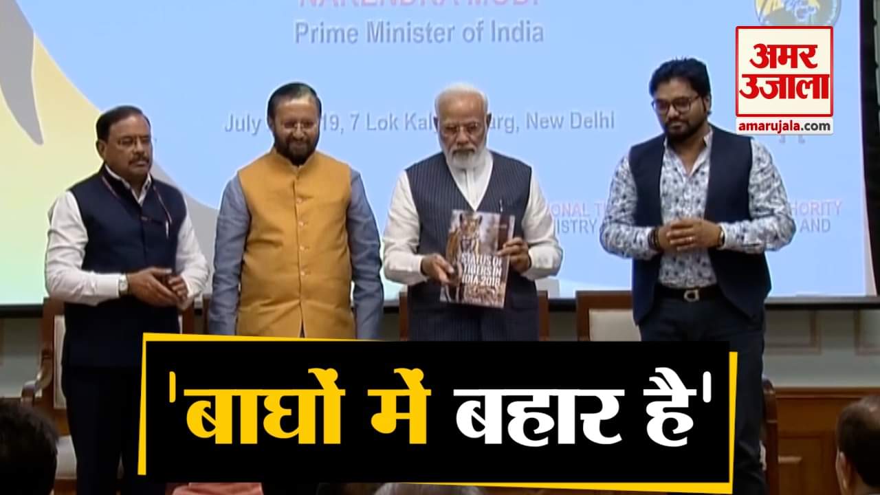 टाइगर्स डे