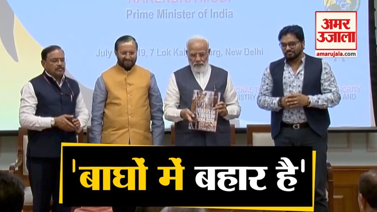 टाइगर्स डे