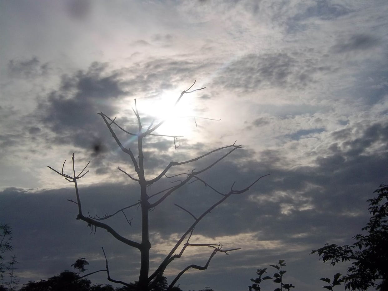 weather in jammu kashmir