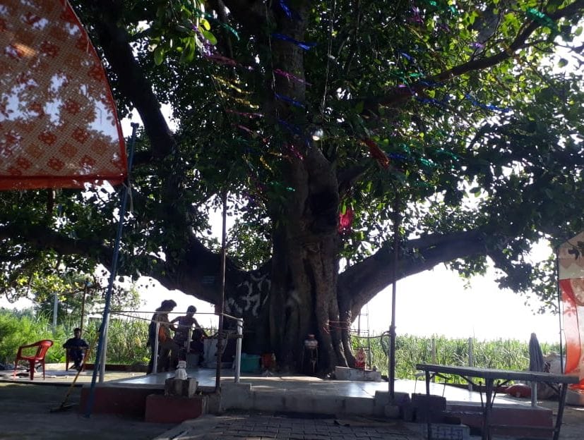 the Banyan tree and snakes secure the Shivling