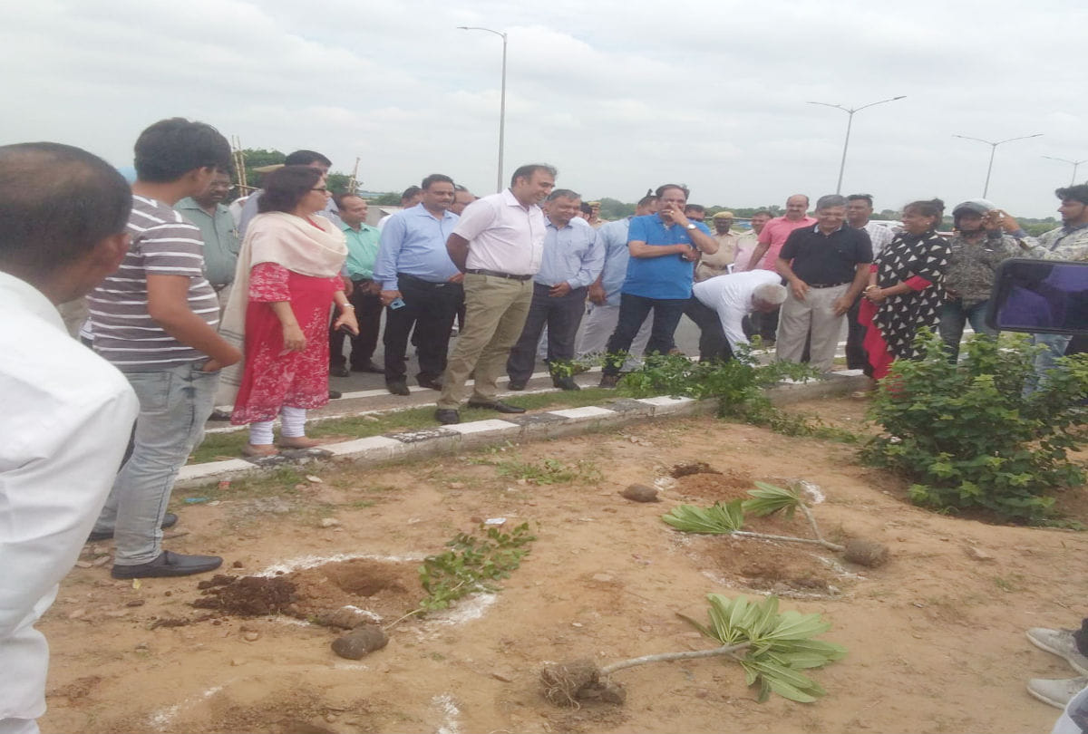 plantation campaign start on inner ring road side in agra