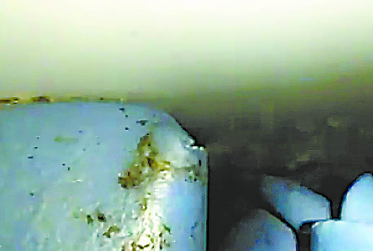 rats and Cockroaches found in second AC bogie of lucknow mail