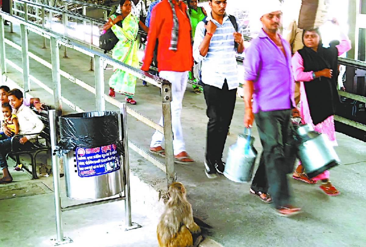 rats and Cockroaches found in second AC bogie of lucknow mail