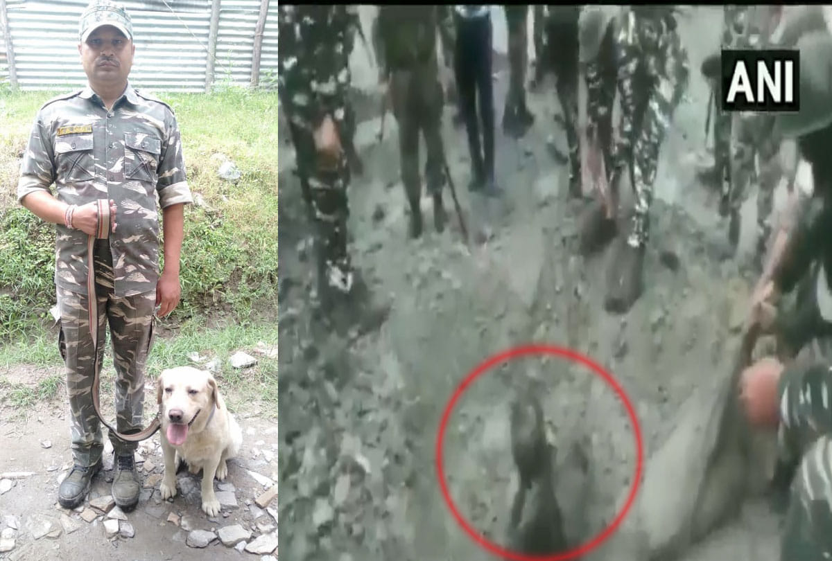 CRPF dog found man trapped under debris of landslide that occurred on Jammu-Srinagar highway