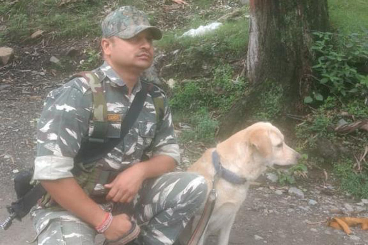 CRPF pulled out the man buried in the land with the help of a dog in Jammu-Srinagar highway