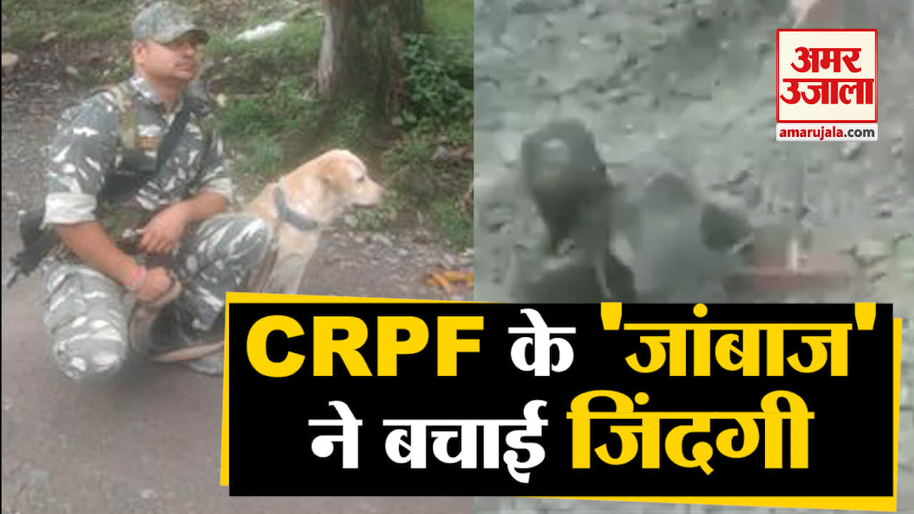 crpf