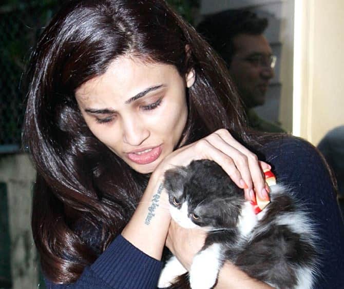 Daisy Shah Spotted with a cat called her lizzi