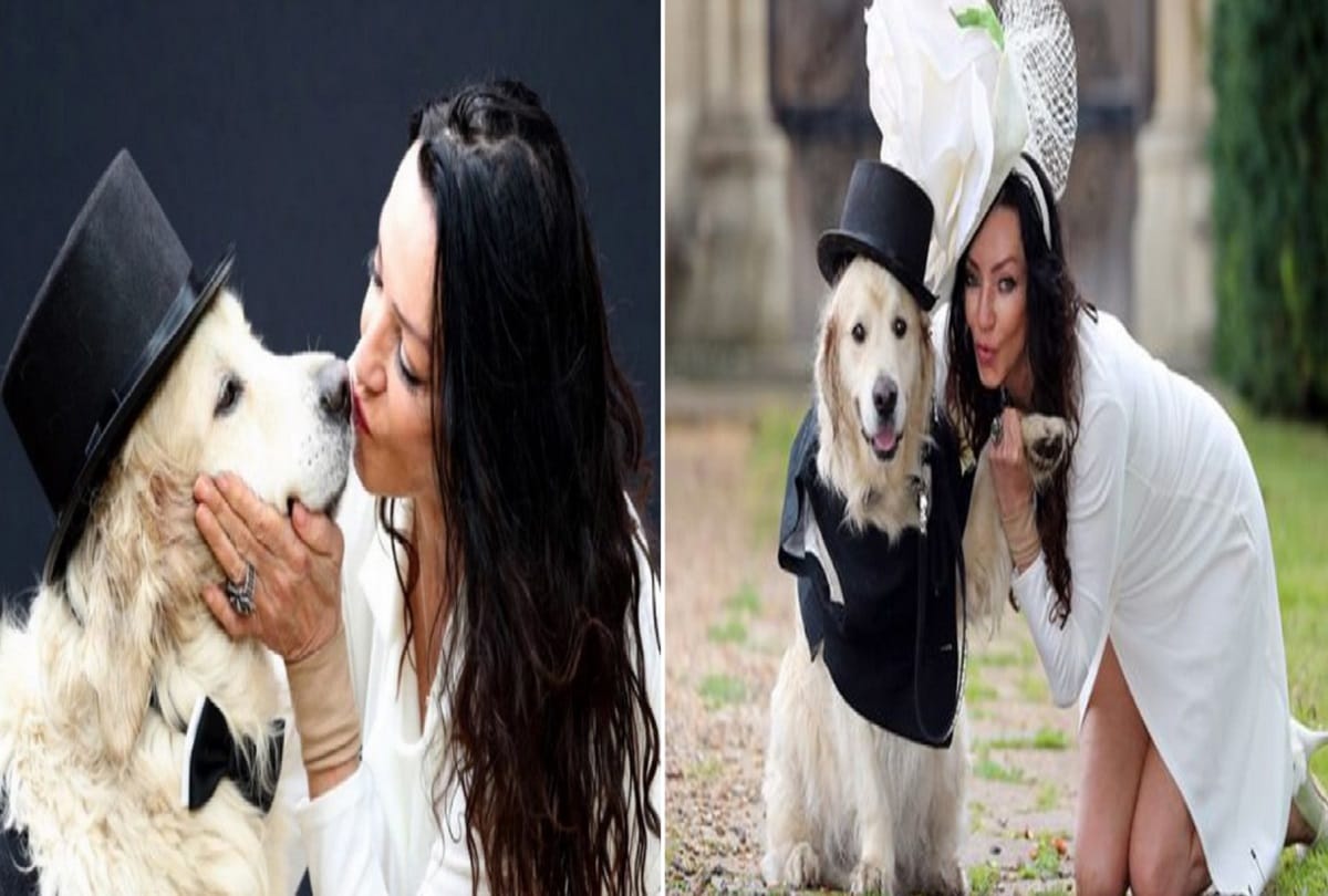british model elizabeth hoad married with her dog on a Live show Video viral