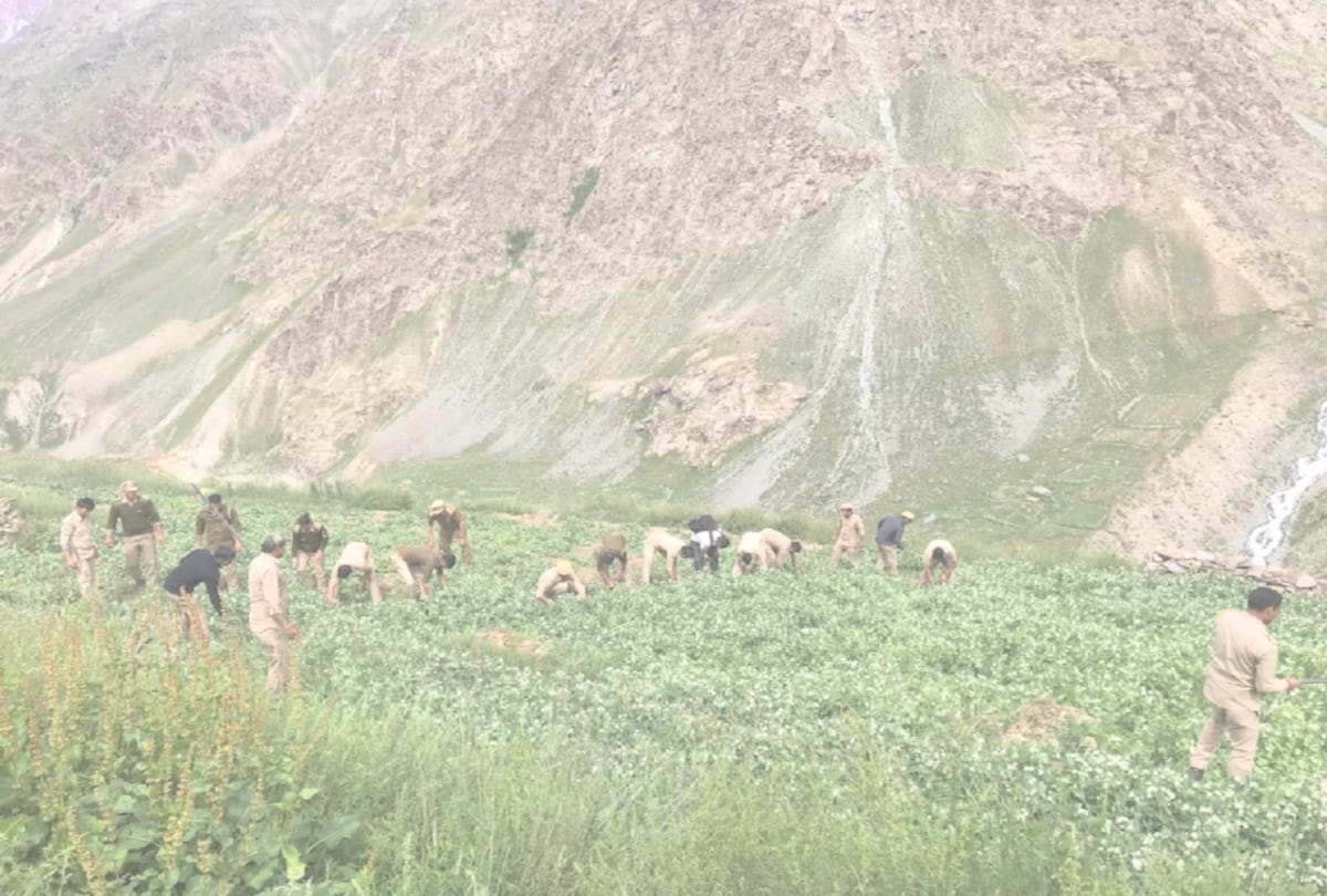 430 Bigha land of forest department captured by the one person in lahul spiti