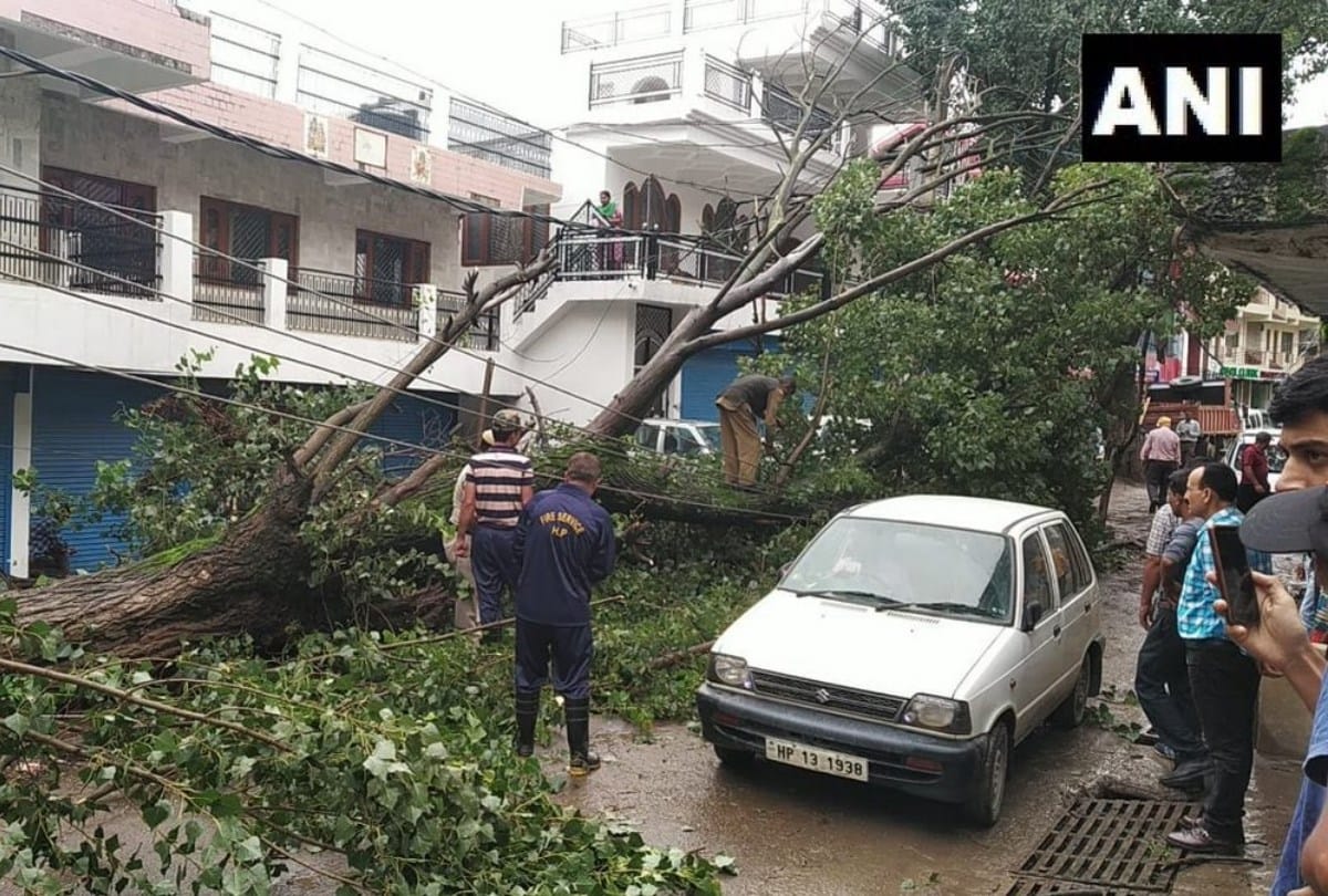 Weather Update: heavy rain in himachal pradesh many trees uprooted in solan