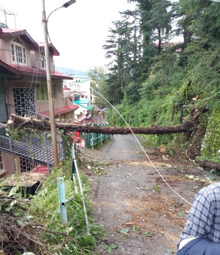shimla rain