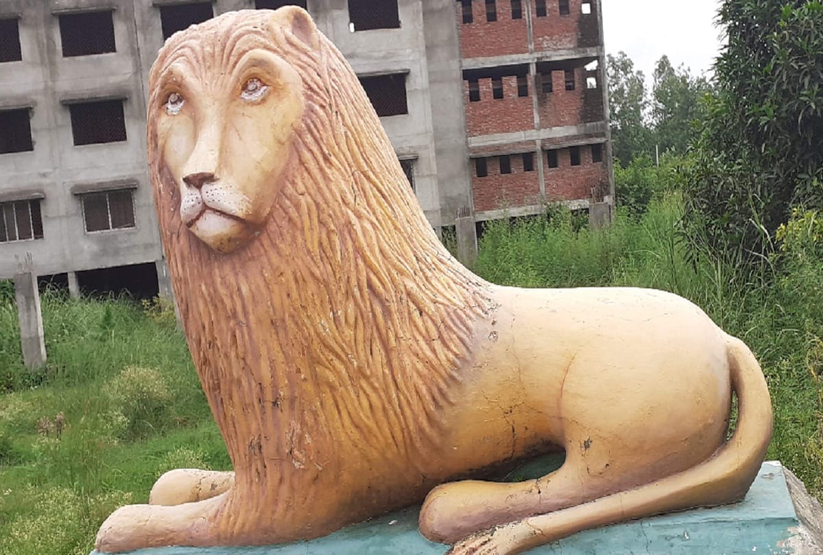 Tiger statue and some books found in Johar University, Rampur, UP