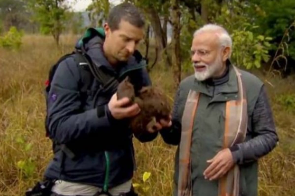 rajinikanth injured during man vs wild with bear grylls in karnataka
