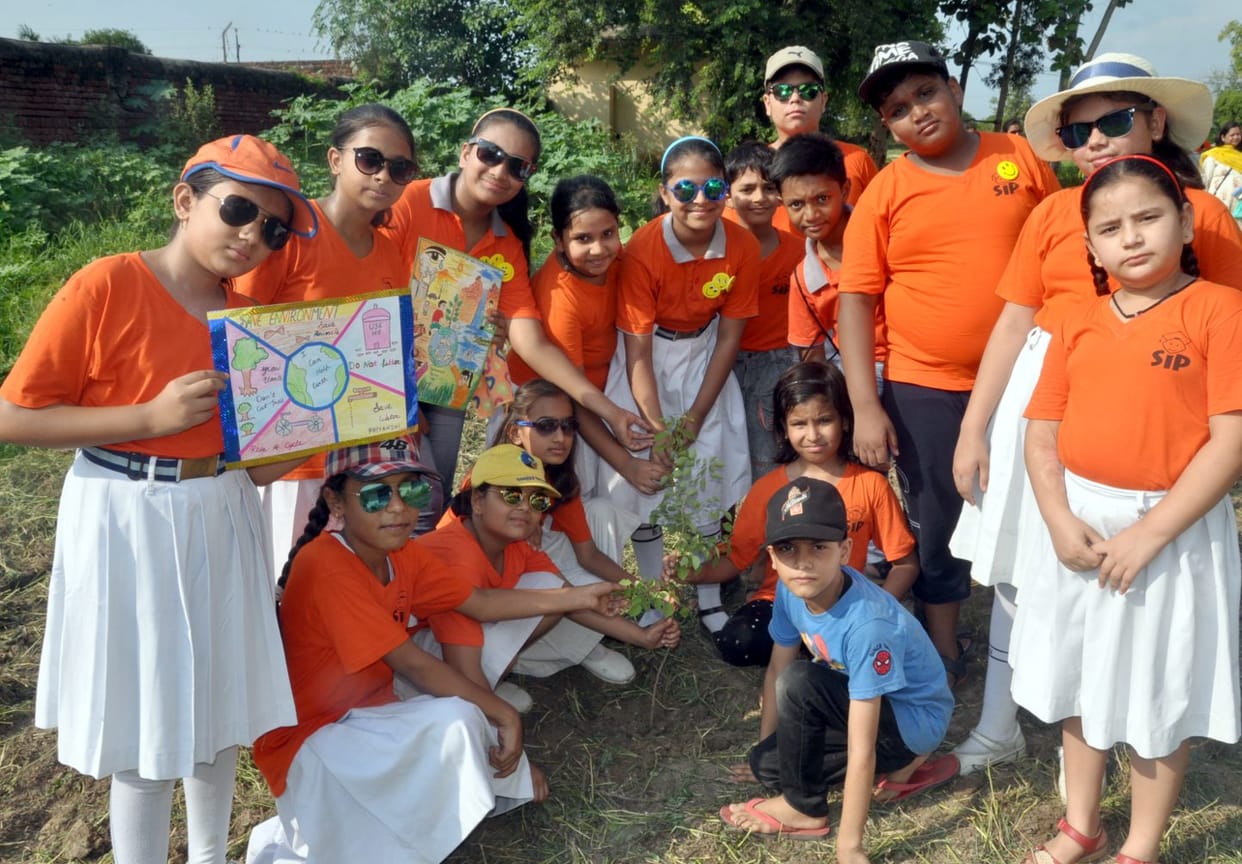 children planted more then 100 plant