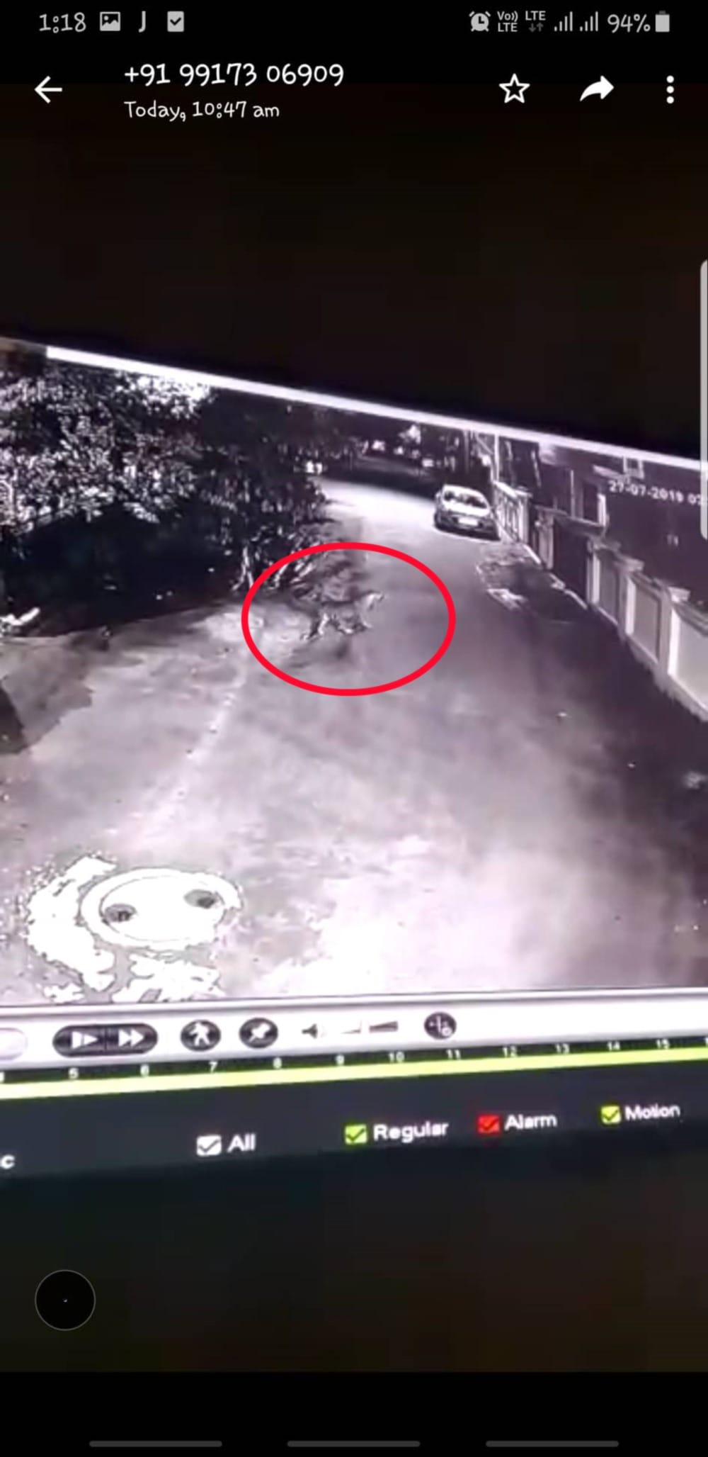 leopard walking on roof of house in haridwar this area