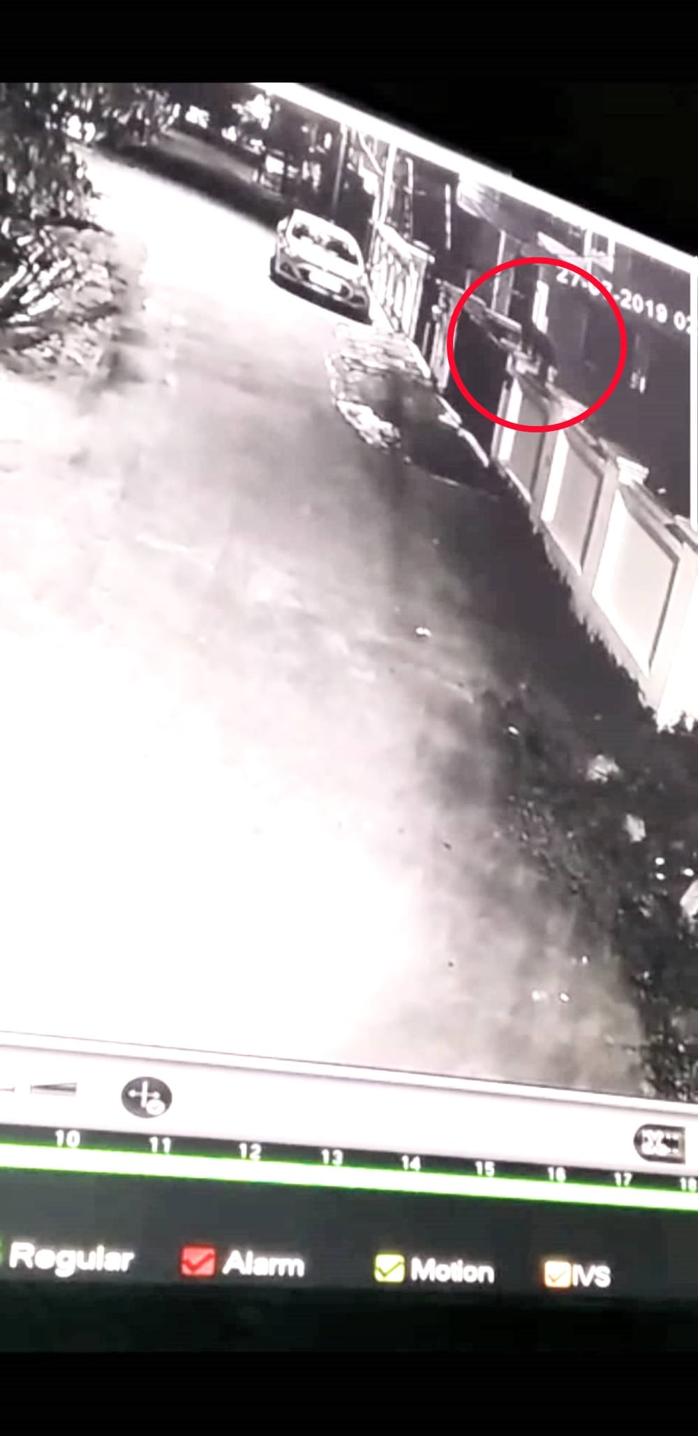 leopard walking on roof of house in haridwar this area
