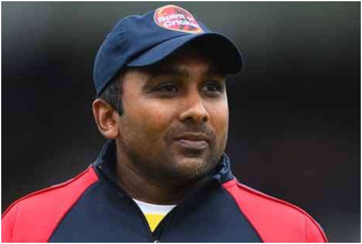 Cricket  News: BCCI receives over 2000 applications for Team India head coach position