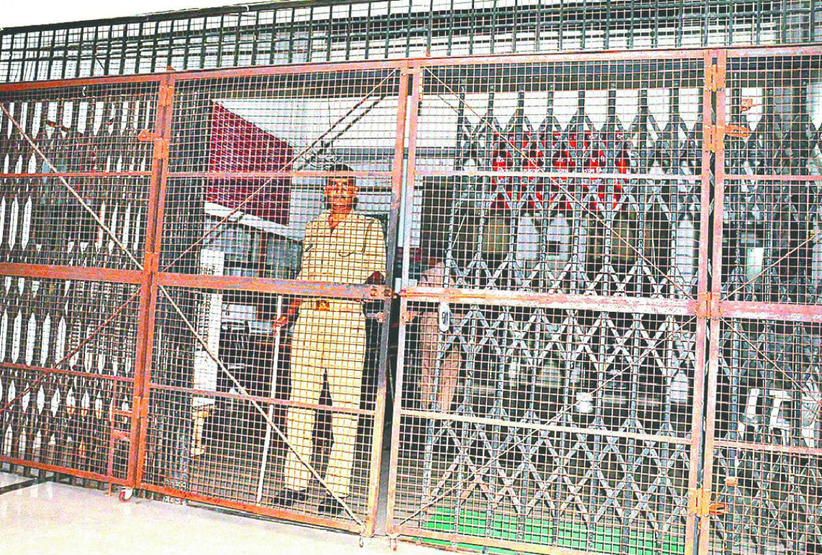 monkeys terror in agra