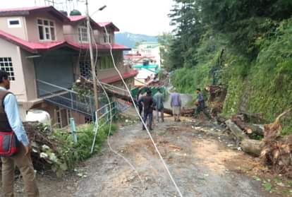 Shimla News: himachal pradesh weather trees uprooted in shimla flood in kullu sainj road blocked