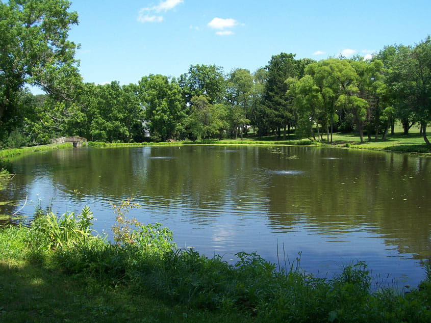 118 bigha pond free of illegal occupation