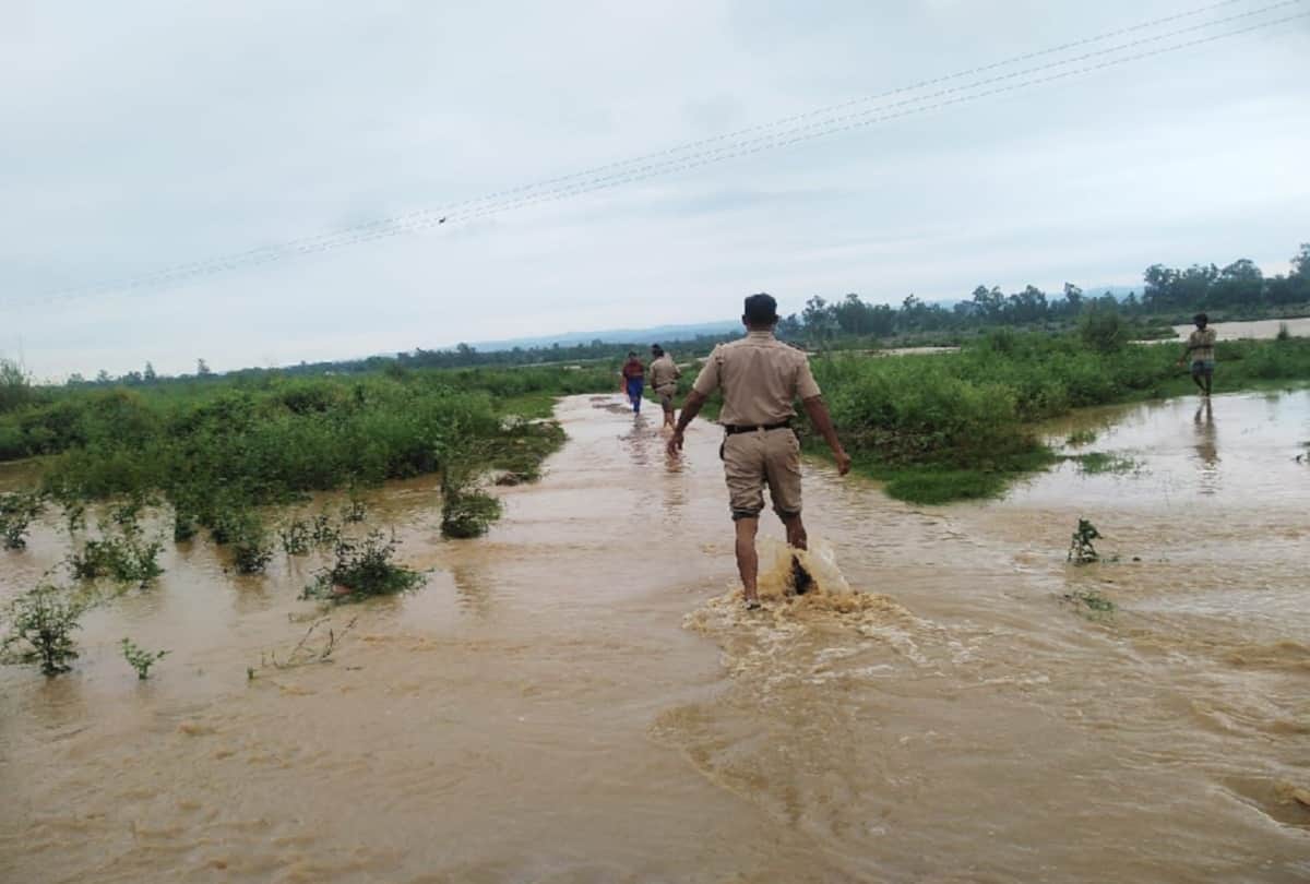 landslide and tree fell in himachal due to heavy rainfall