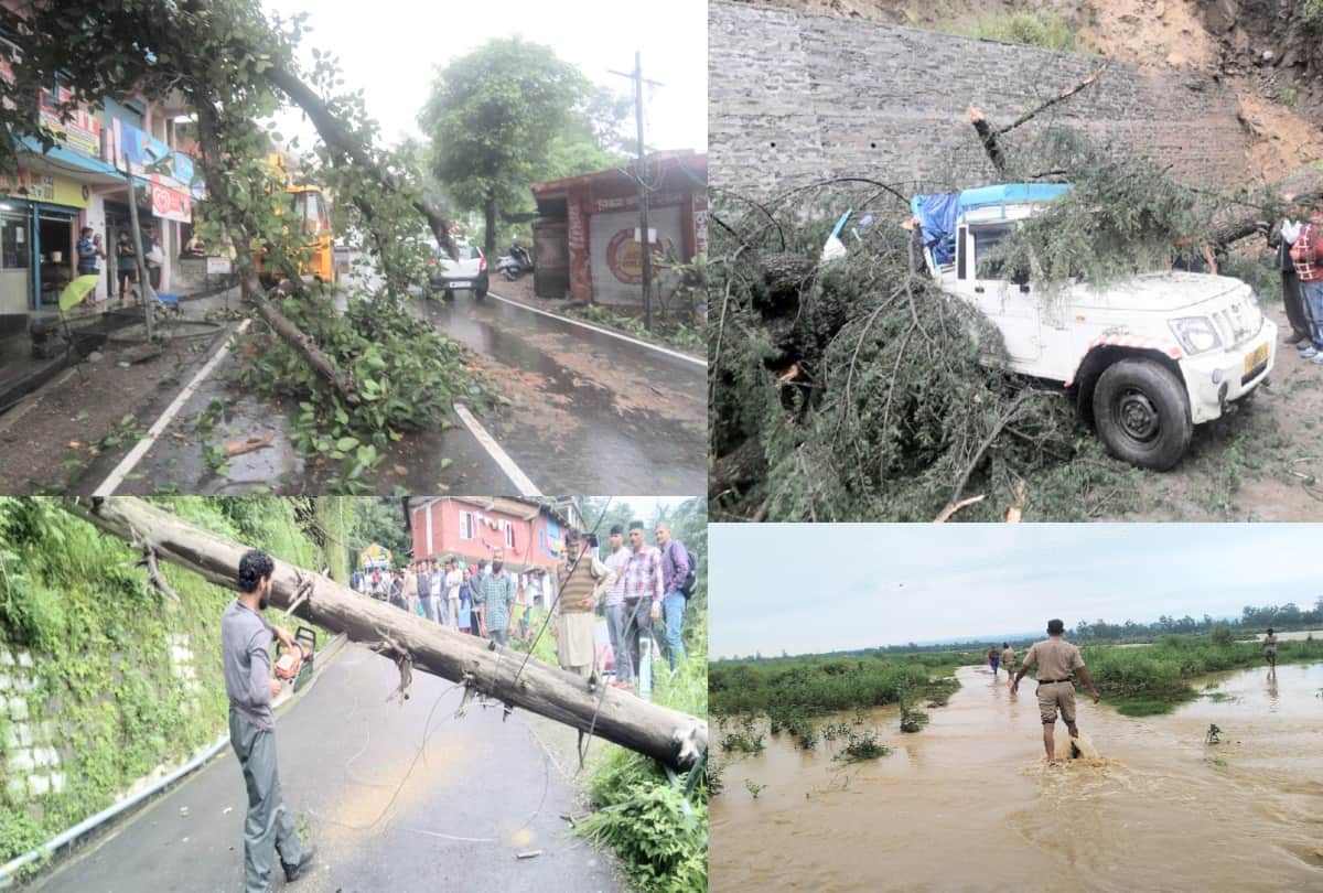 landslide and tree fell in himachal due to heavy rainfall