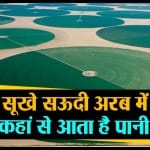 प्रतिकात्मक तस्वीर