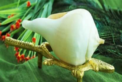 shankh benefits importance significance and types