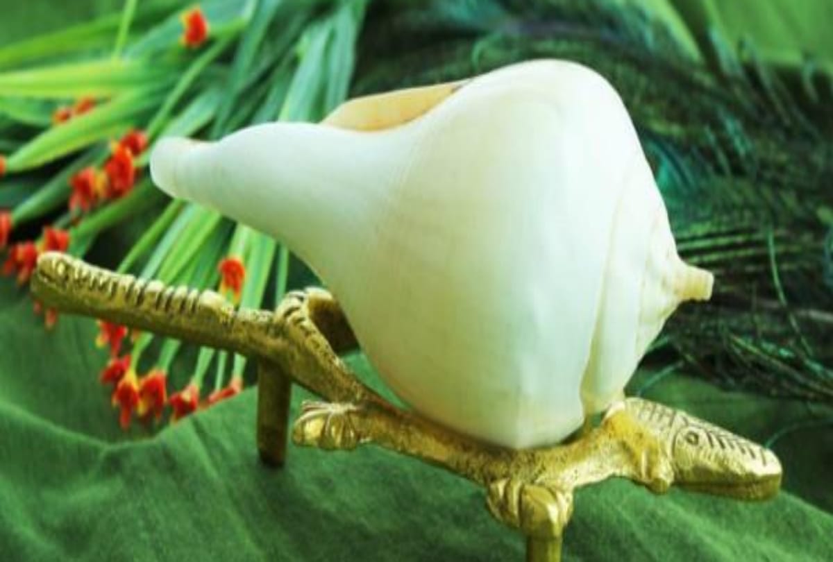 vastu tips conch in the house to prevent vastu defects and know benefits