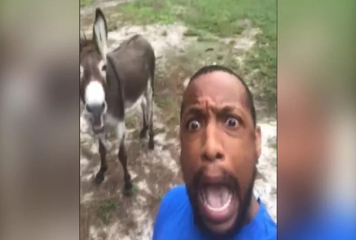 Donkey singing The Lion King Theme Song with his Owner Video viral on social media