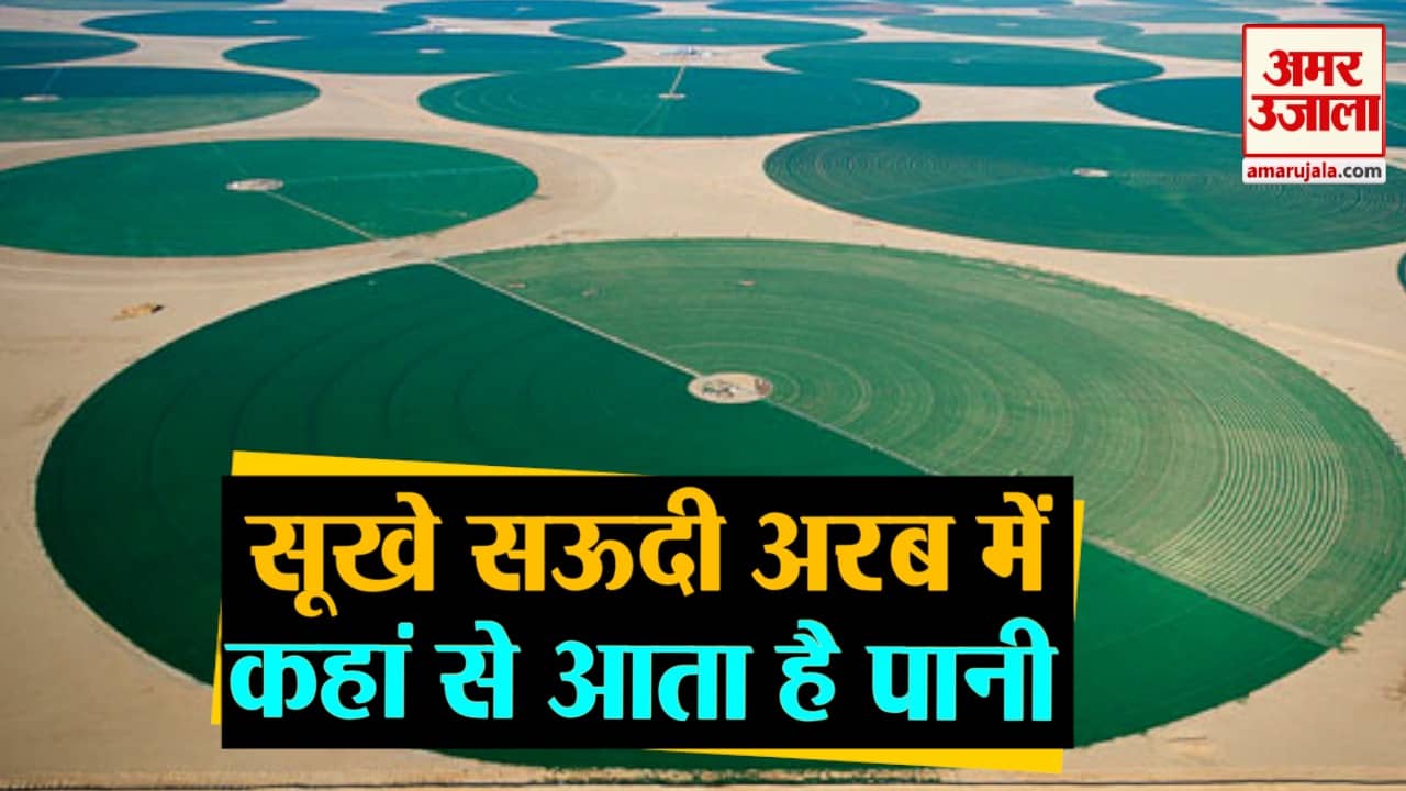 प्रतिकात्मक तस्वीर