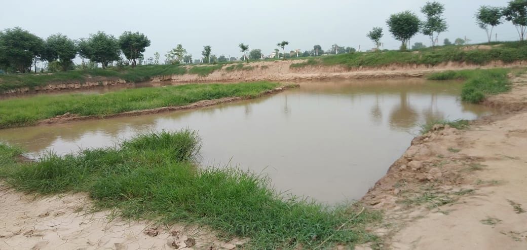 pond, three child dead, hindi news, fatehabad