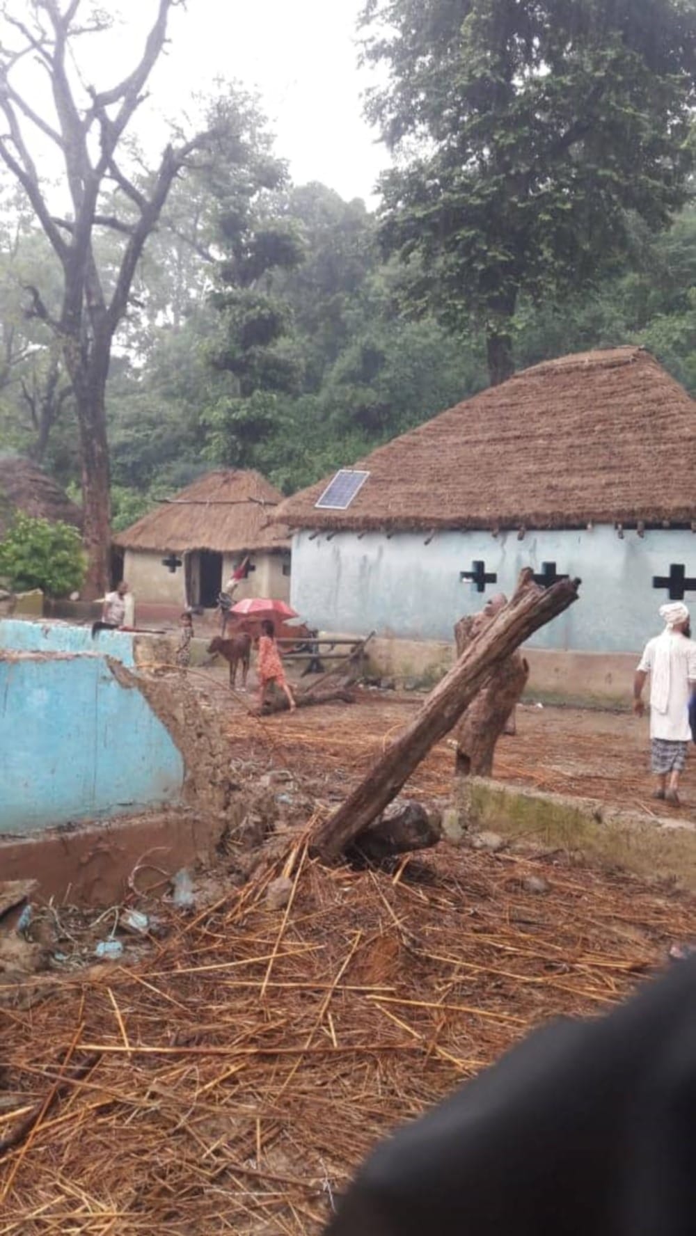 rain in uttarakhand forest gurjar hut and goshala swept away in river at kotdwar