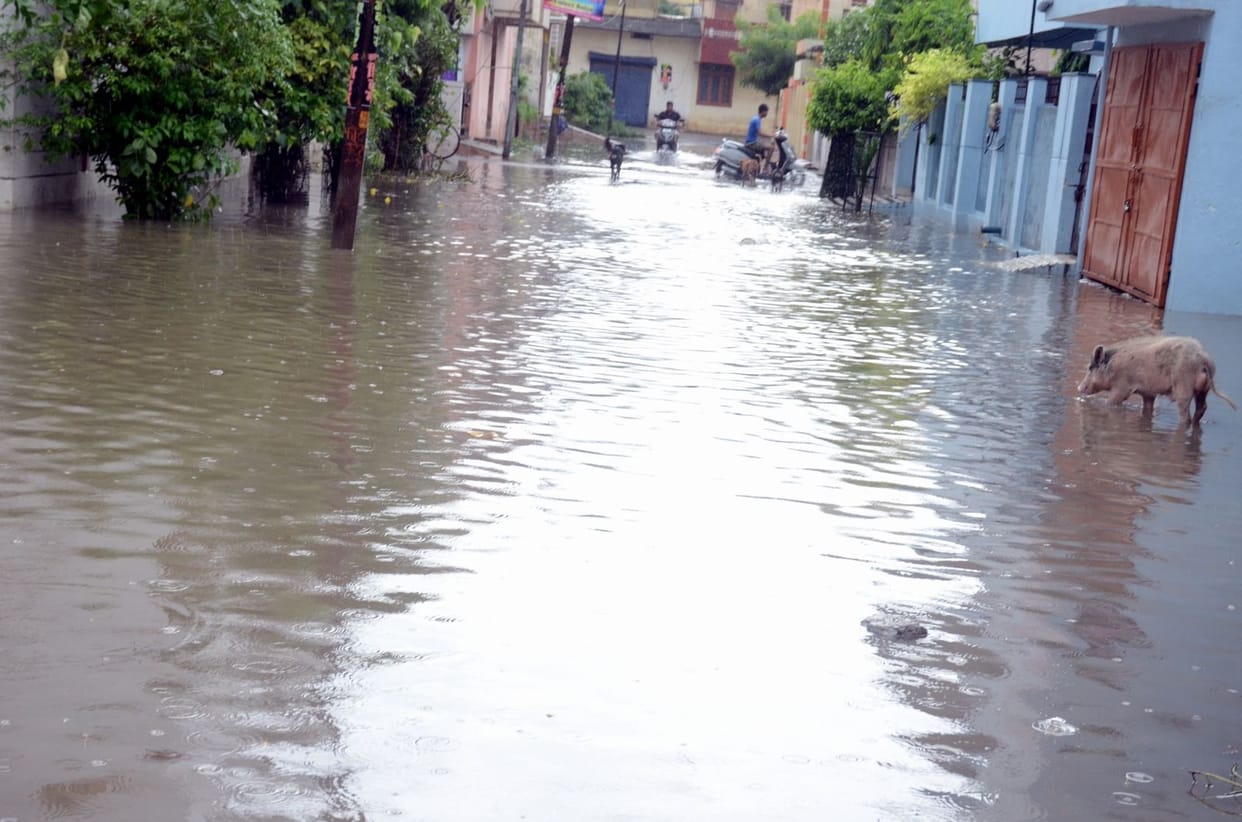 Roads made of ponds, barely a janab