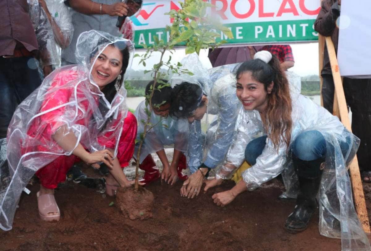 kajol sister Tanishaa Mukerji troll to her sister on this picture
