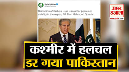 Pakistan Reaction On Indian Move On Jammu And Kashmir Matter