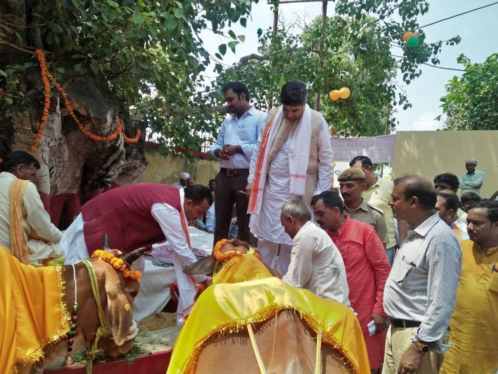 Kanha Ghoshala starts
