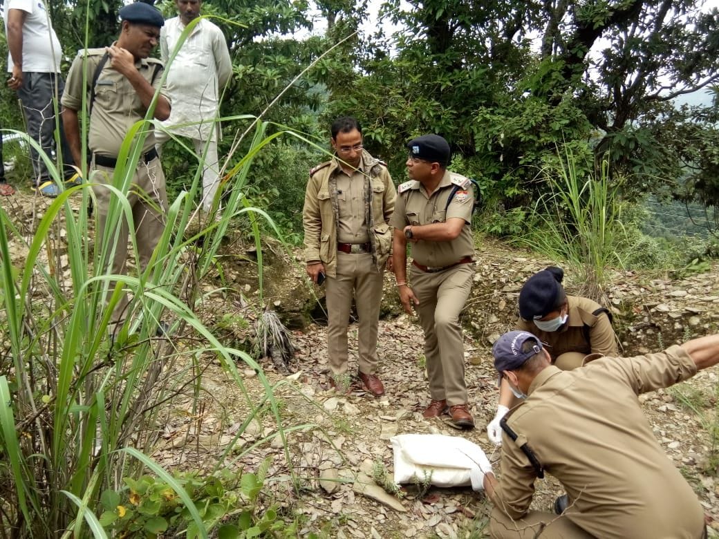 Newborn corpuscular body found in bushes