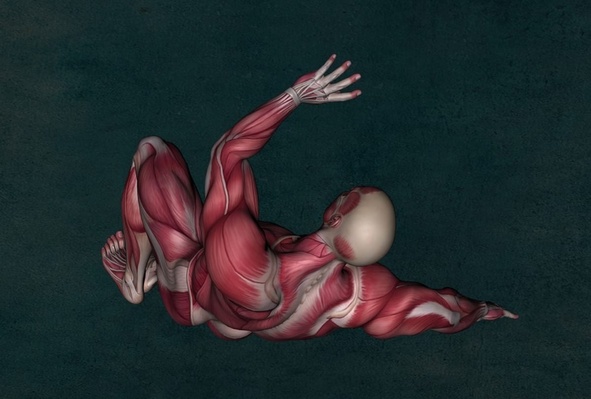 pain and stress in muscles cause harmful disease symptoms treatment
