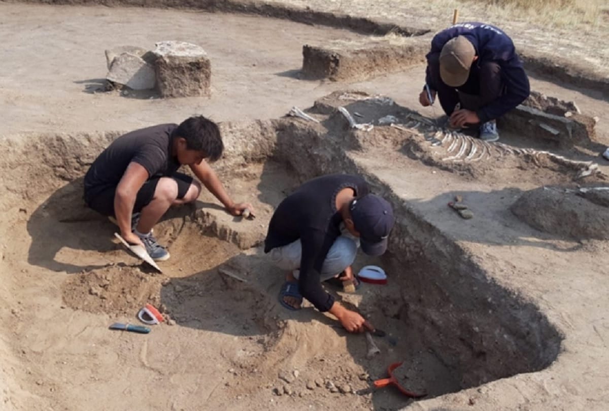 Mysterious 4000 year old grave found in Kazakhstan reveals boy and girl buried in an odd manner