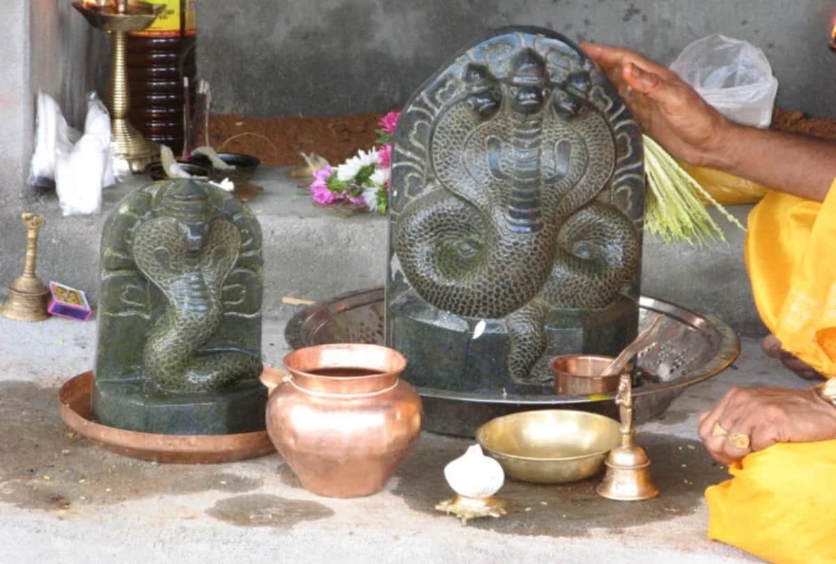 Naag Panchami 2019 how to snake birth on earth and history