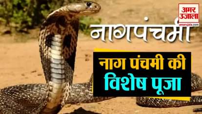 naag panchami on  5 august